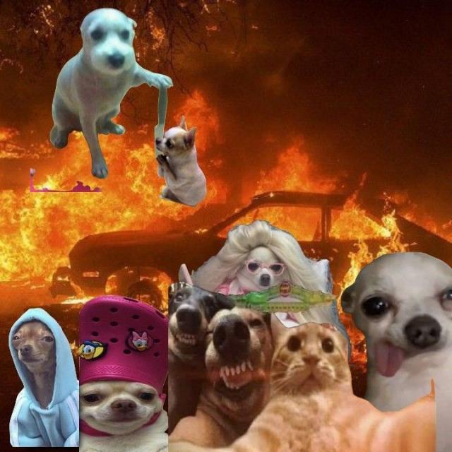Avatar do grupo ᗩᑕᕼᗩᗞOS ᕮ ᑭᕮᒪᗩᗞOS