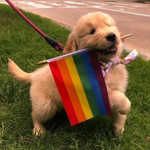 Avatar do grupo 𝕽𝖆𝖎𝖓𝖇𝖔𝖜 𝕽𝖔𝖔𝖒 🌈