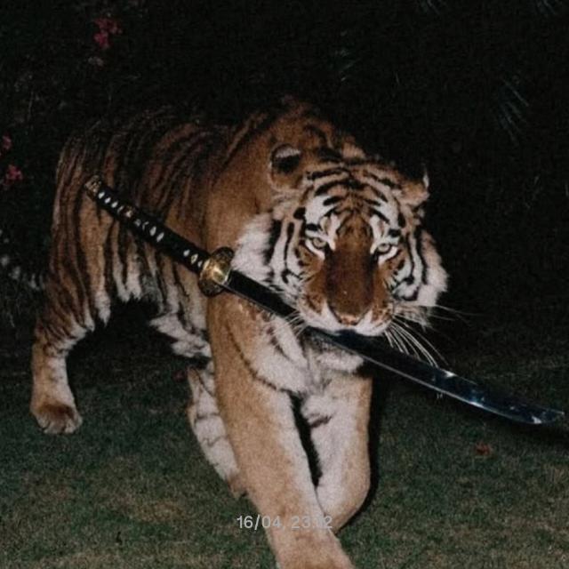 ㆒⸼݇҉ֻ᠂ IMPÉRIO-X⸼݇҉ֻ᠂ 🇦🇱( ᴿᵉˢᵉʳᵛᵃ)