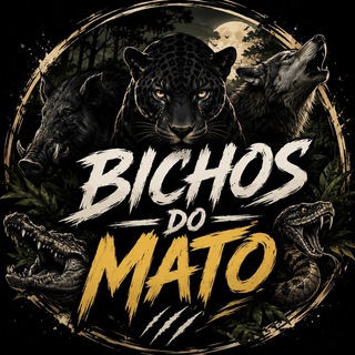 Avatar do grupo 𝐁𝐢𝐜𝐡𝐨𝐬 𝐝𝐨 𝐦𝐚𝐭𝐨 🌿