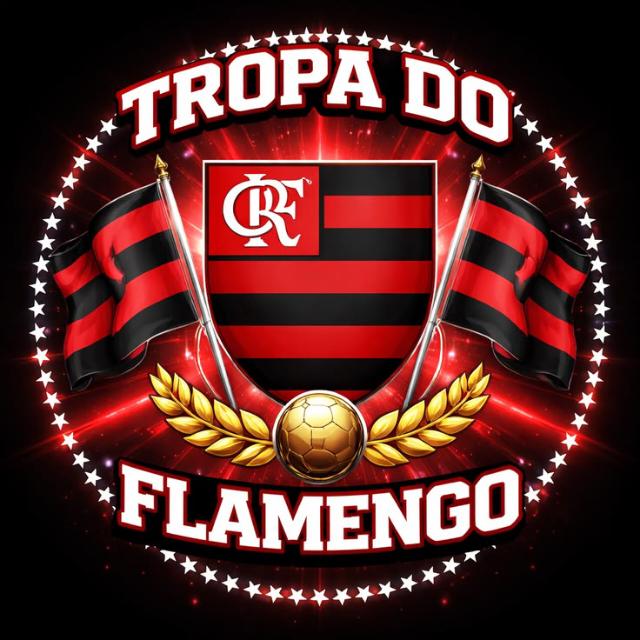Avatar do grupo ❤️ FLAMENGO NOTÍCIAS RJ🖤🇧🇷
